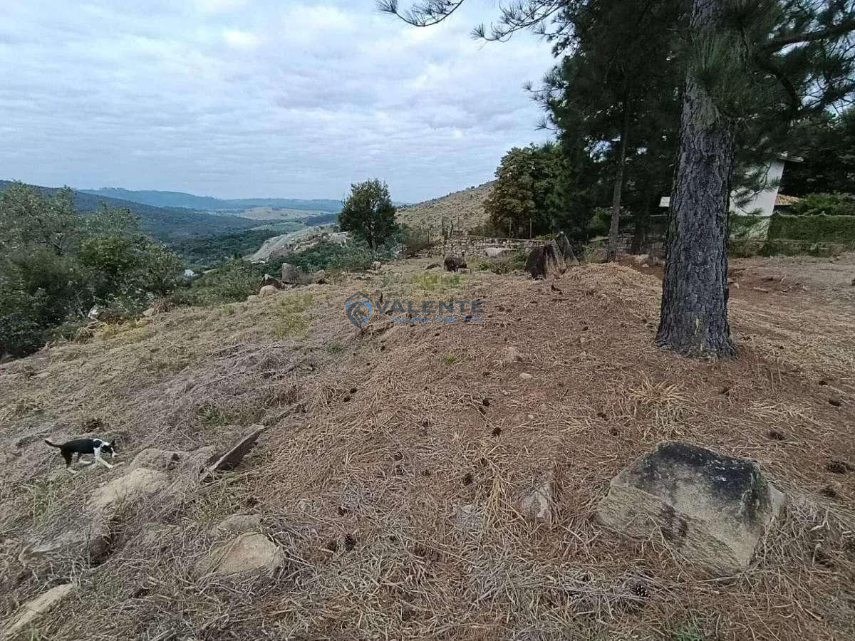 Chácara à venda, 1.965,40m² - Chácaras Alpina,Valinhos