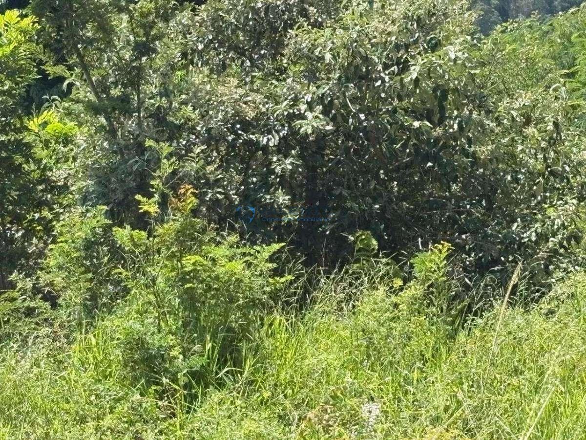 Chácara à venda, 1030m² - Chácaras Alpina,Valinhos