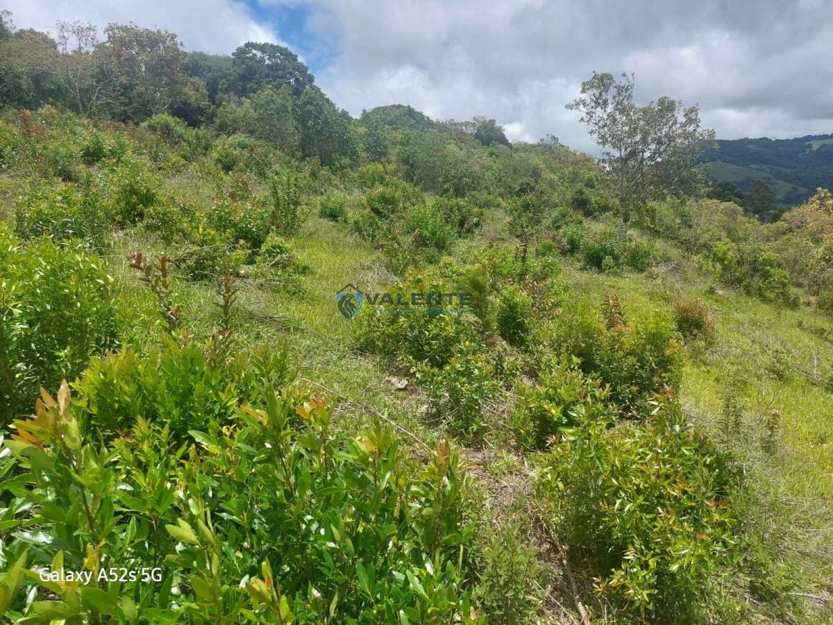 Sítio à venda - Correntinho,Munhoz