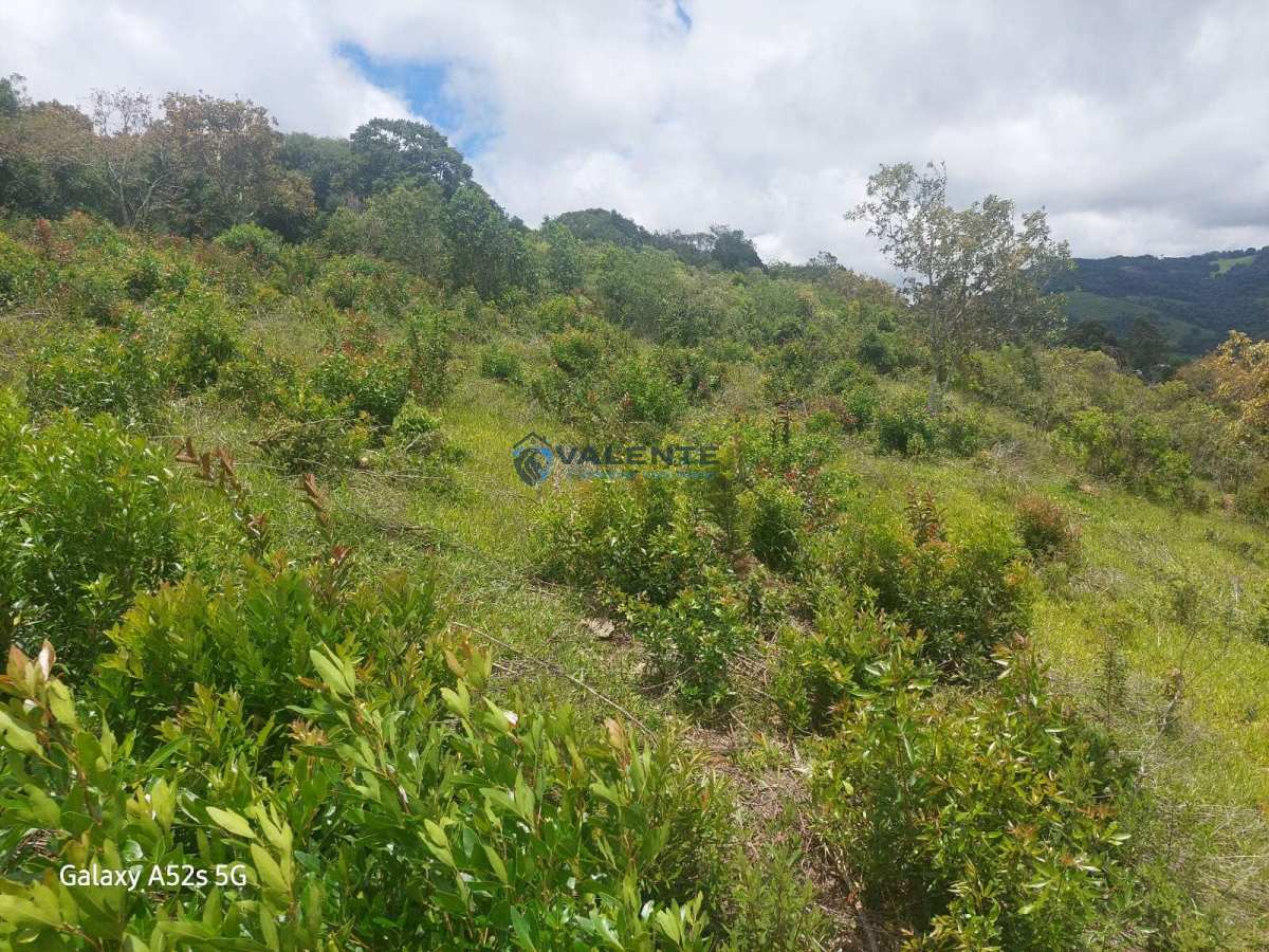  - Sítio á venda, com 24000 m², em Munhoz, Minas Gerais